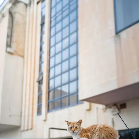 Apartment The Bayview Executive Penthouse *